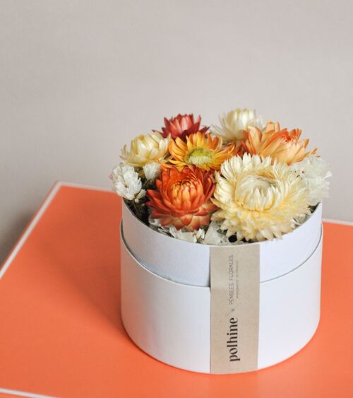 Boîte de fleurs séchées - Blanc