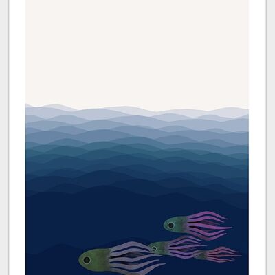 Poster Racing Calamari - 50x70cm