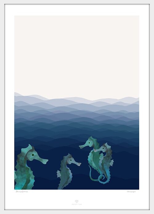 Poster Dancing Seahorses - 50x70