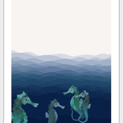 Poster Tanzende Seepferdchen - 50x70