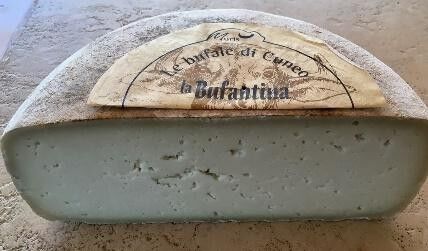 Fromage - Bufantina (5.5 kg) - Moris