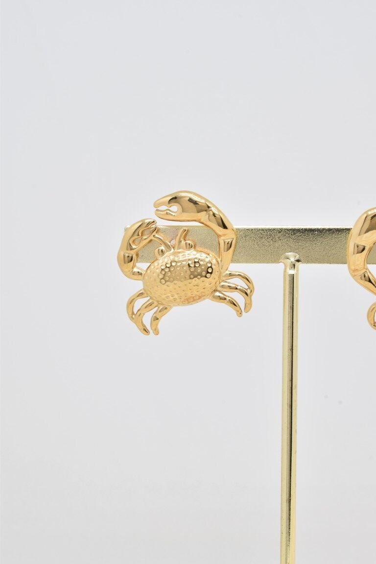 Krabbenohrringe aus Edelstahl - BO100465OR