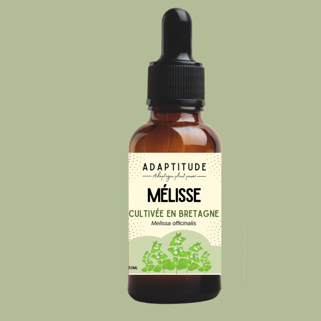 Lemon Balm Extract (50ml)