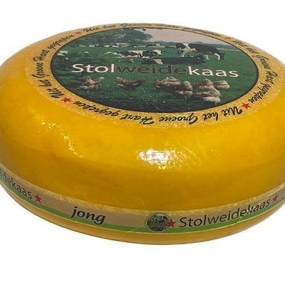 Stollweide young farm cheese