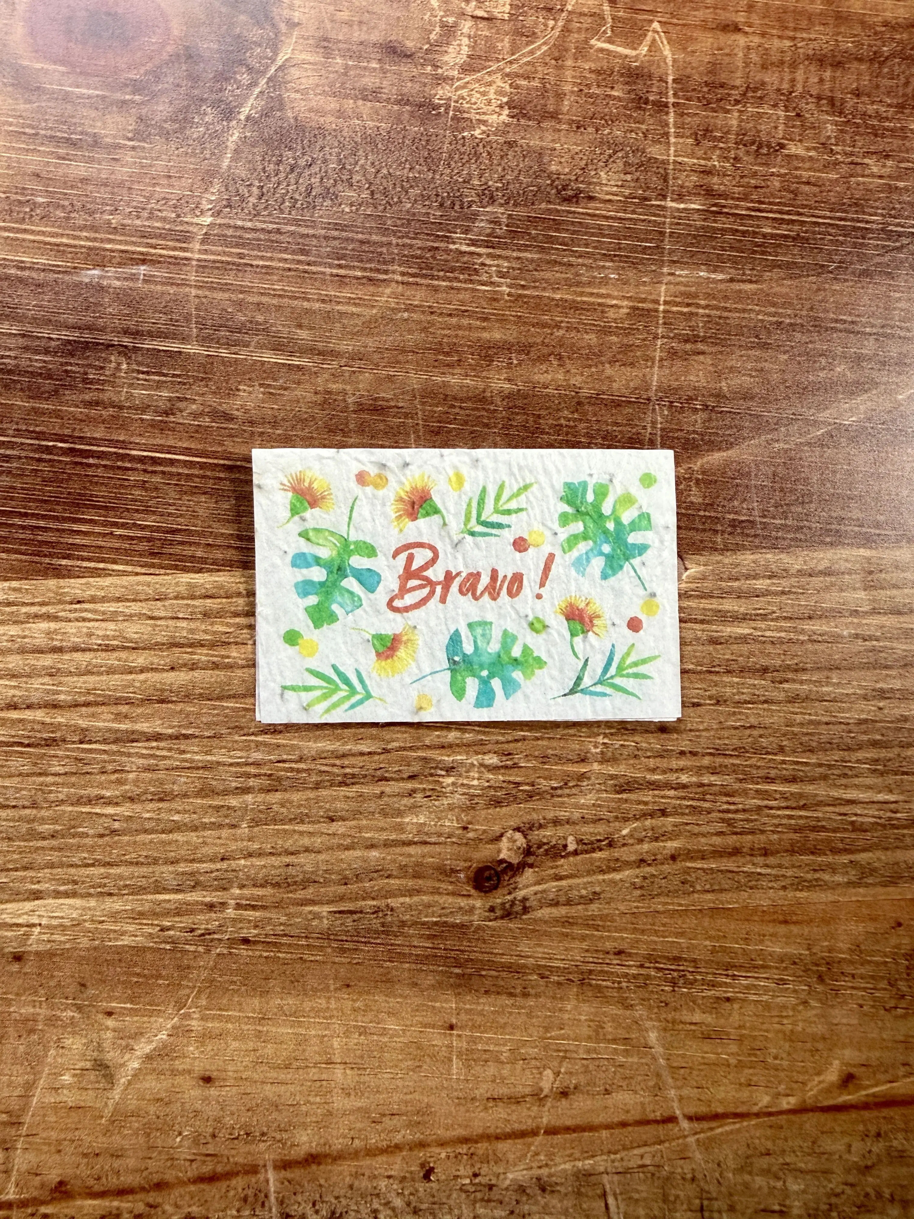 20 minis cartes à planter aquarelle pour fleuristes et cavistes 8,4 x 5,4 cm (2 par modèle)