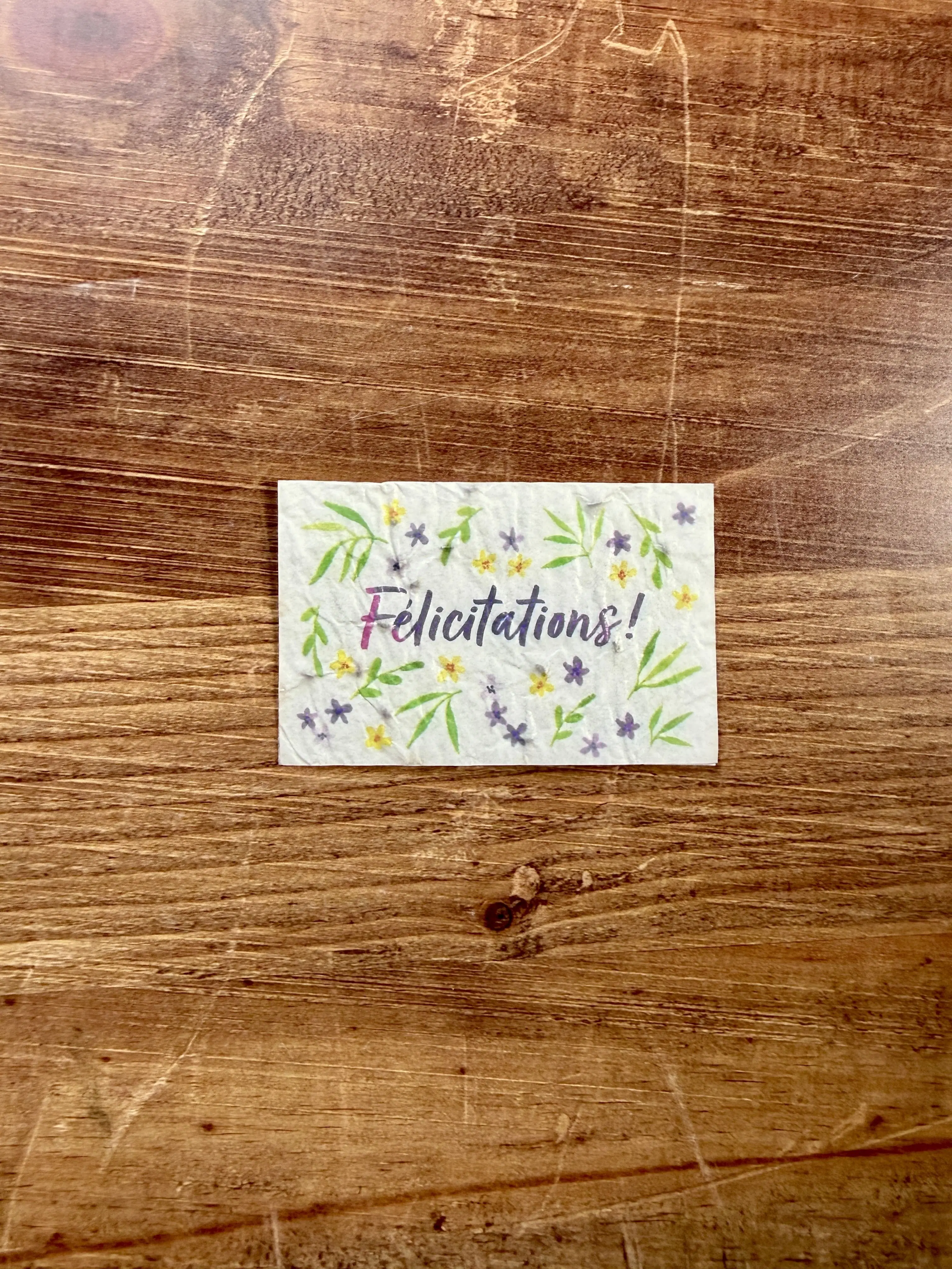 20 minis cartes à planter aquarelle pour fleuristes et cavistes 8,4 x 5,4 cm (2 par modèle)
