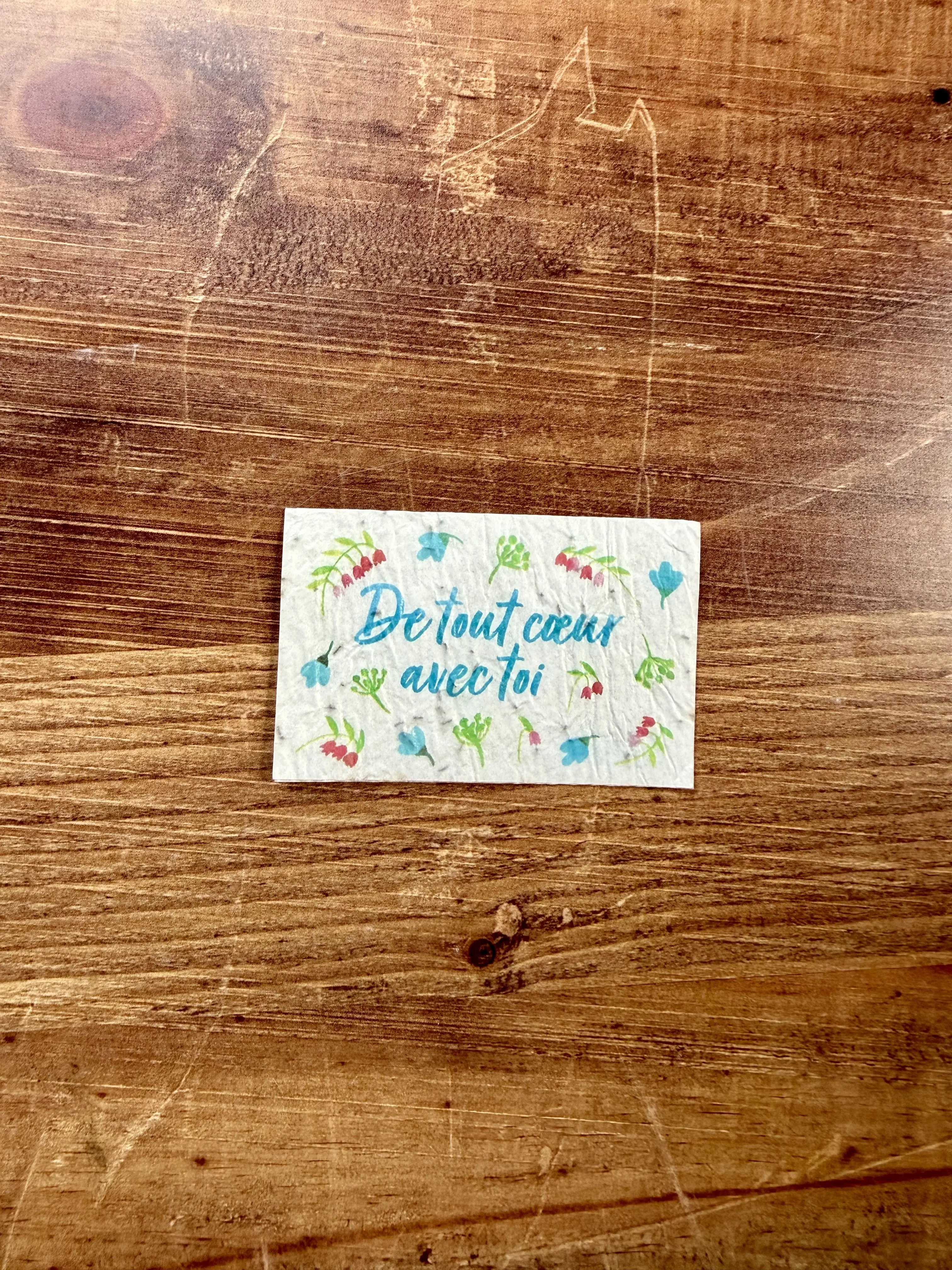 20 minis cartes à planter aquarelle pour fleuristes et cavistes 8,4 x 5,4 cm (2 par modèle)
