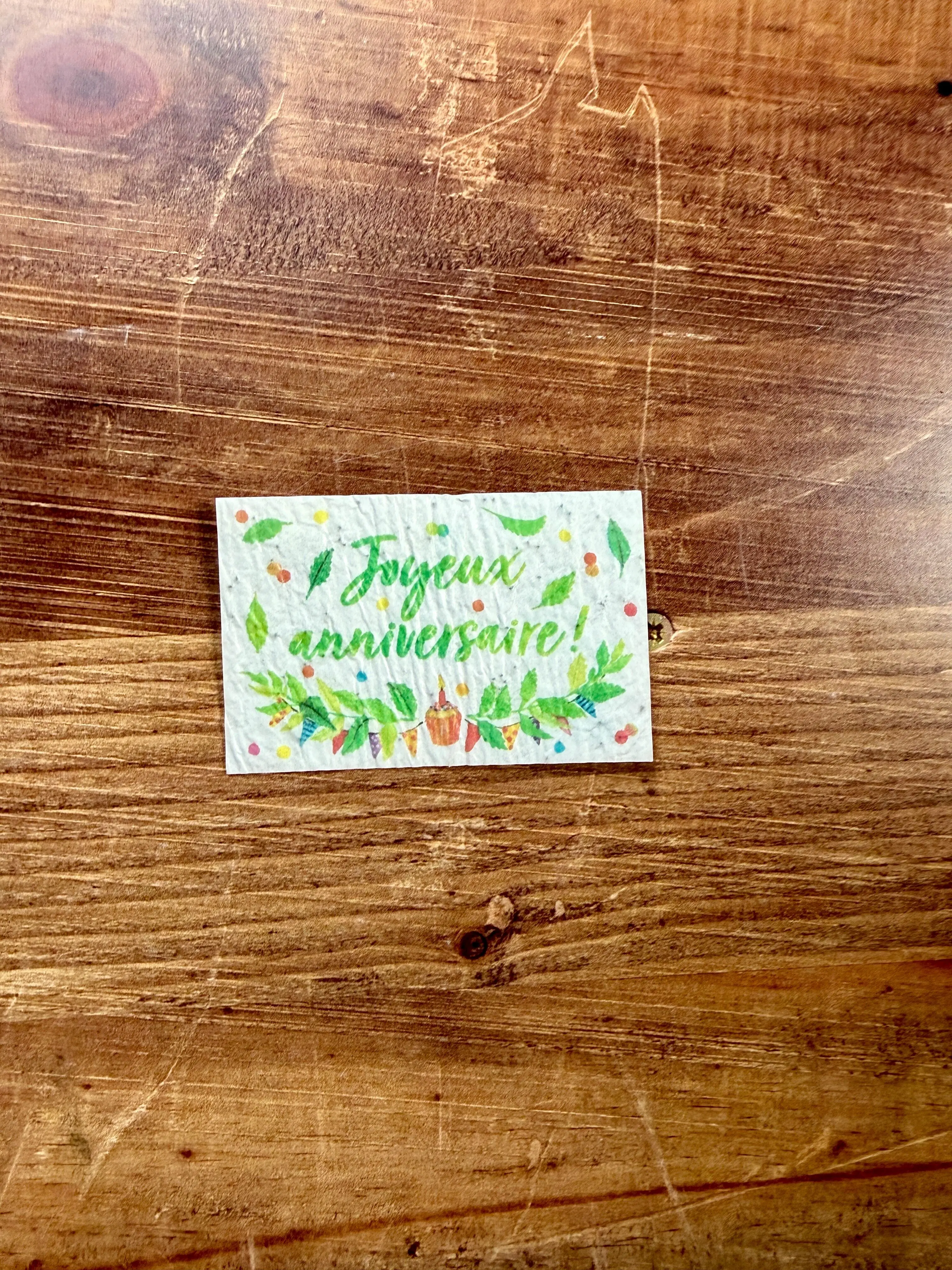 20 minis cartes à planter aquarelle pour fleuristes et cavistes 8,4 x 5,4 cm (2 par modèle)