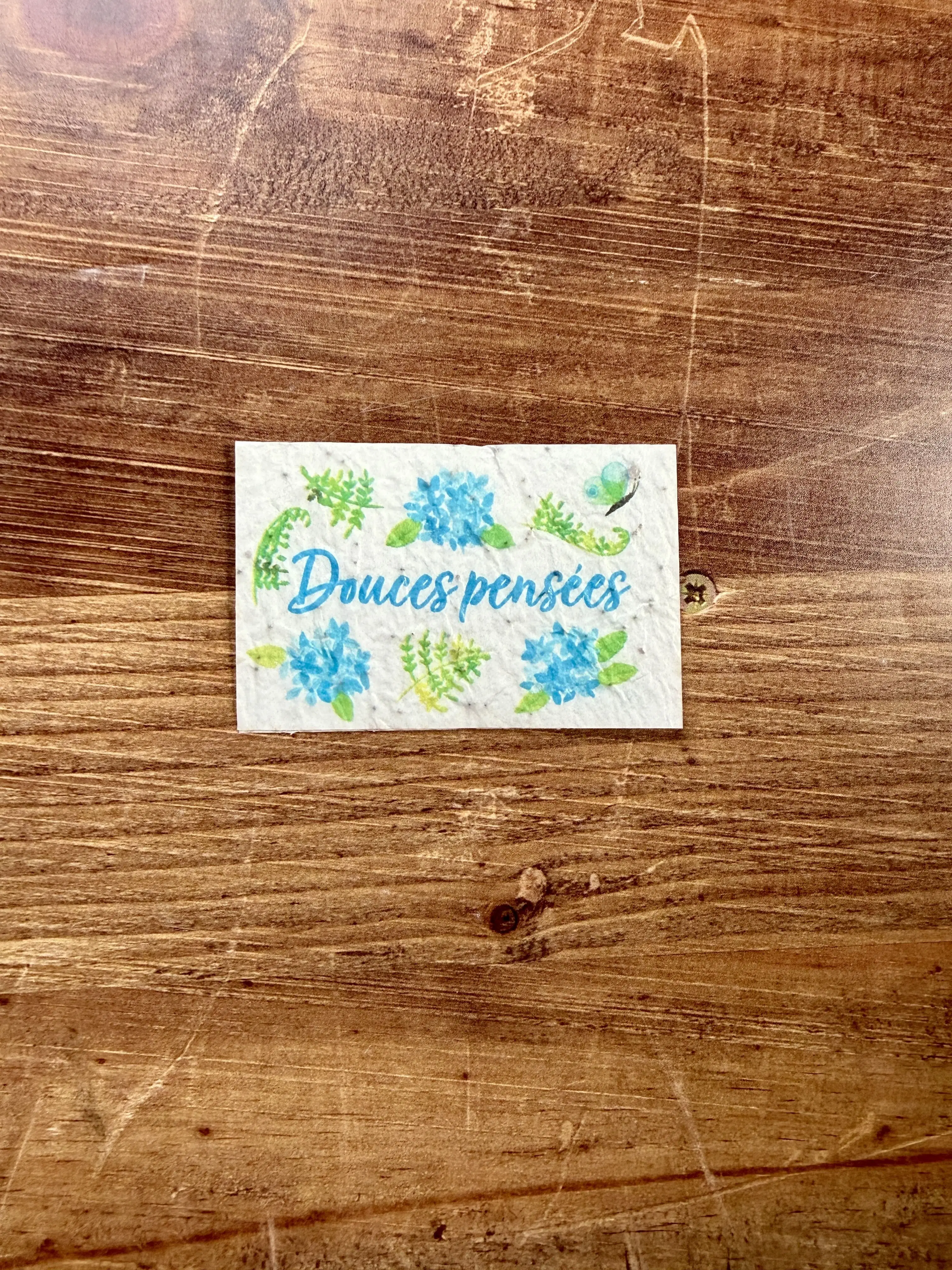 20 minis cartes à planter aquarelle pour fleuristes et cavistes 8,4 x 5,4 cm (2 par modèle)