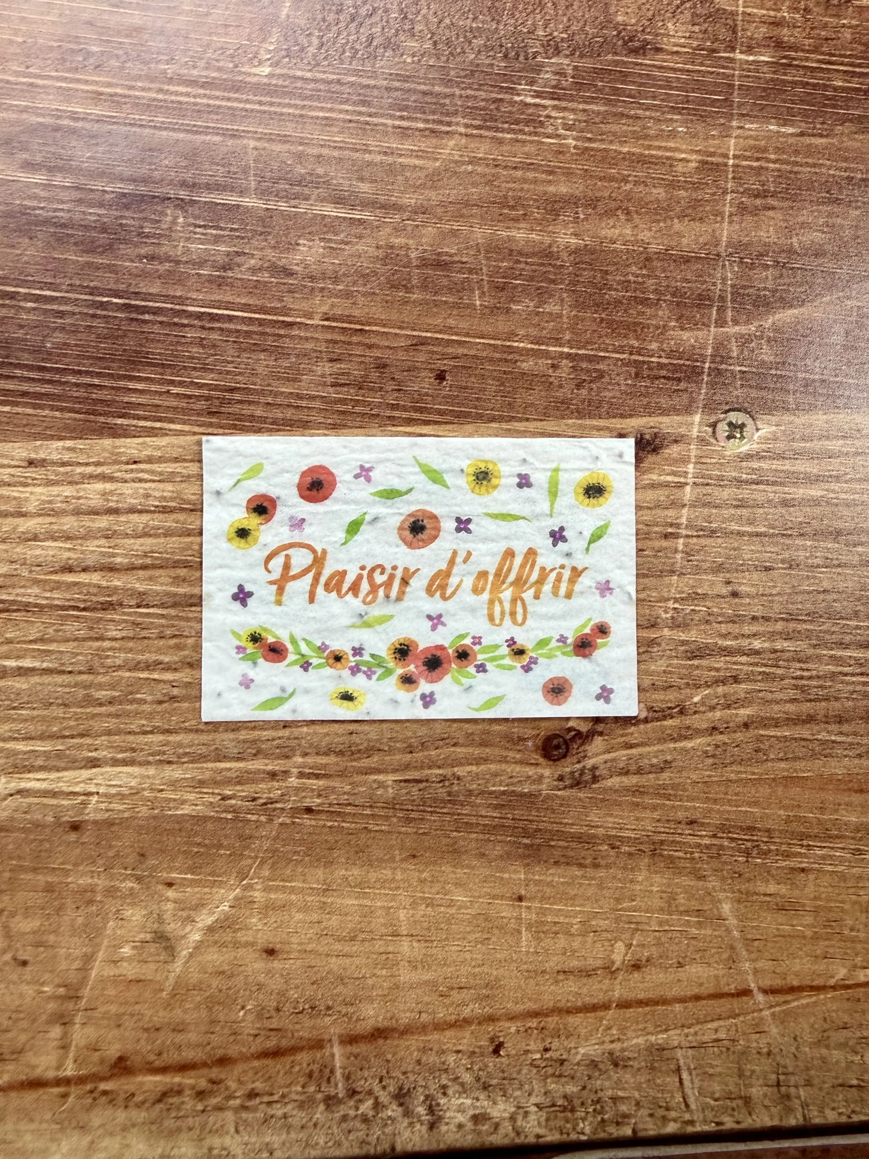 20 minis cartes à planter aquarelle pour fleuristes et cavistes 8,4 x 5,4 cm (2 par modèle)
