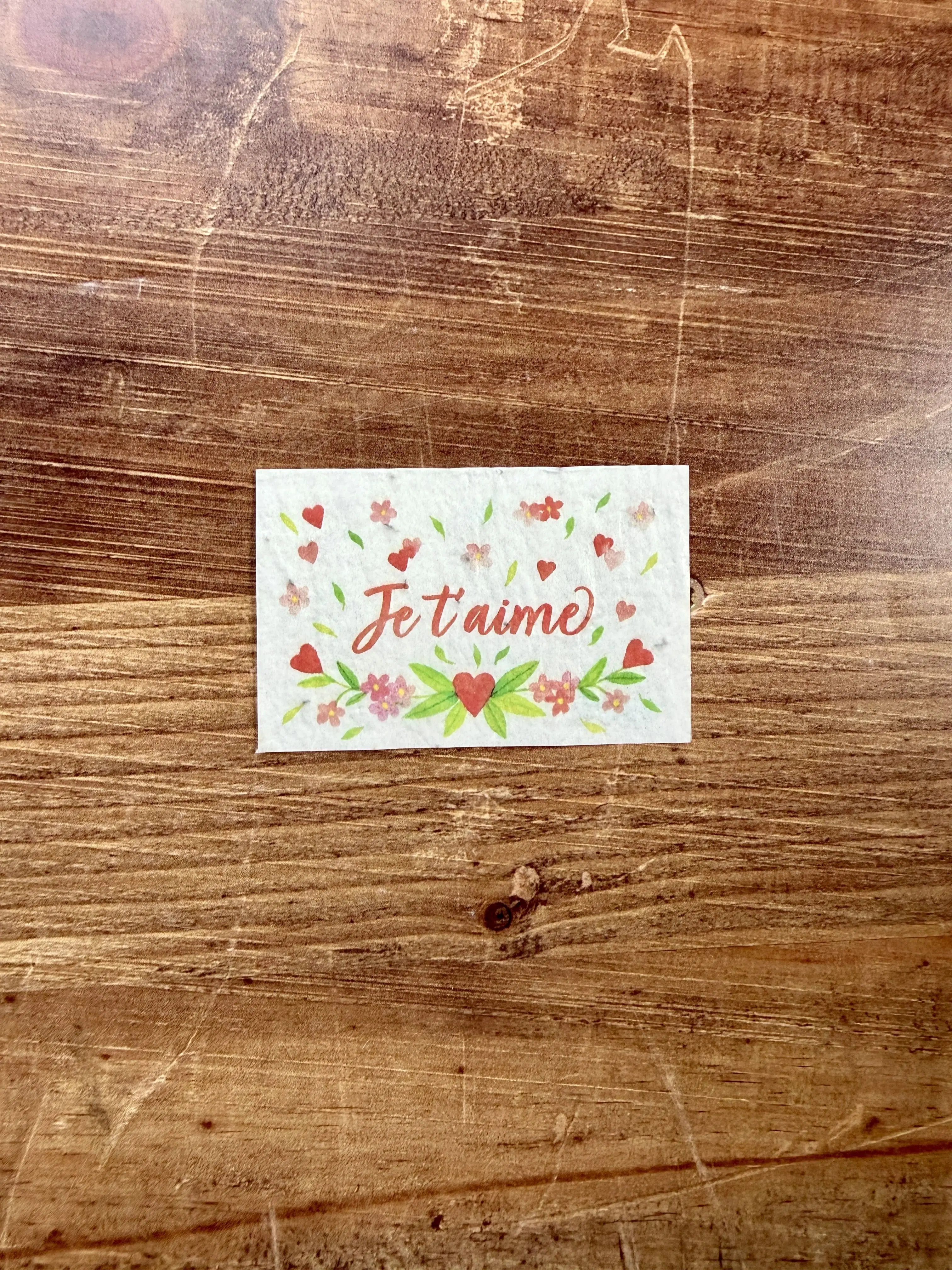 20 minis cartes à planter aquarelle pour fleuristes et cavistes 8,4 x 5,4 cm (2 par modèle)