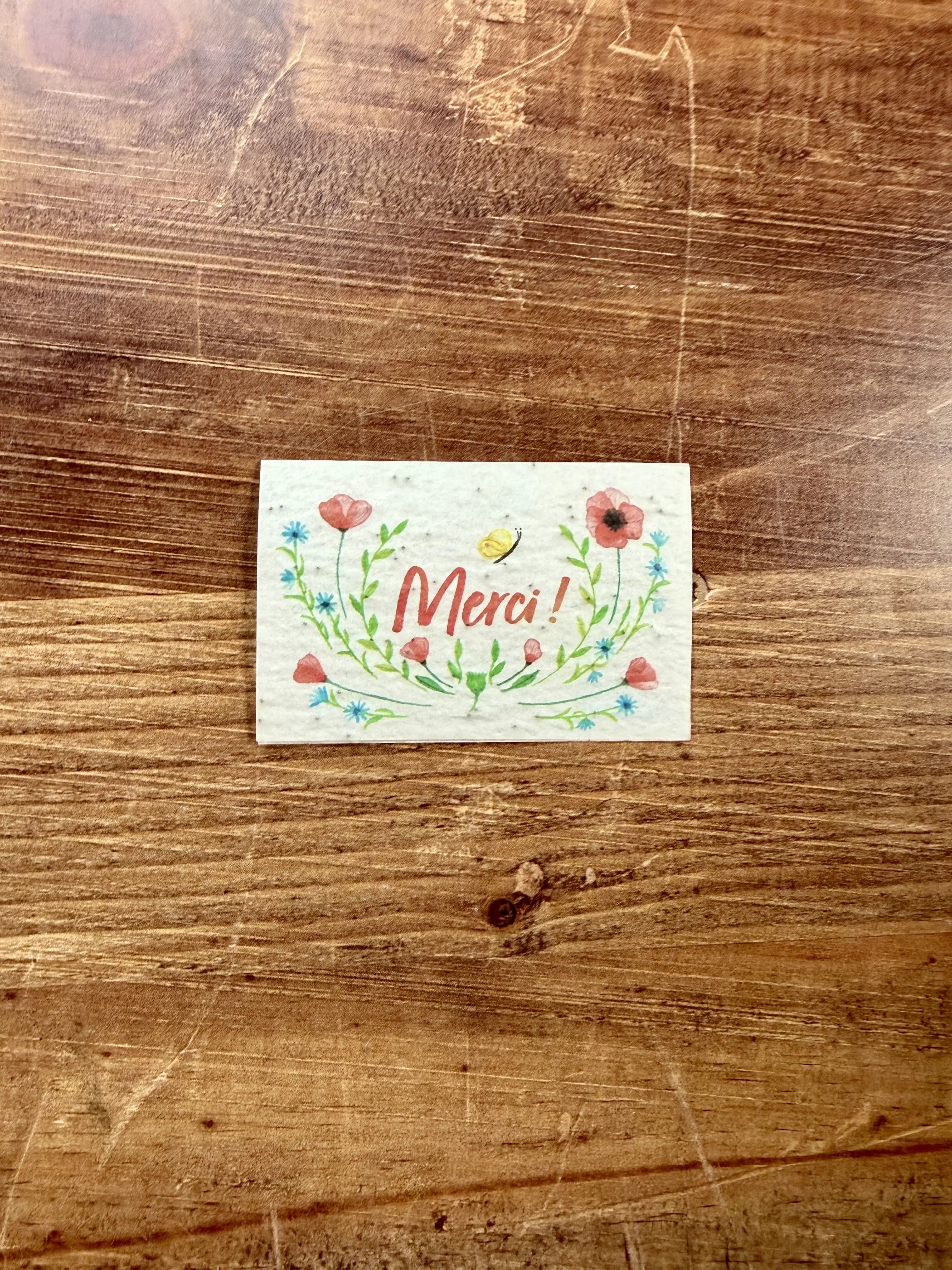20 minis cartes à planter aquarelle pour fleuristes et cavistes 8,4 x 5,4 cm (2 par modèle)