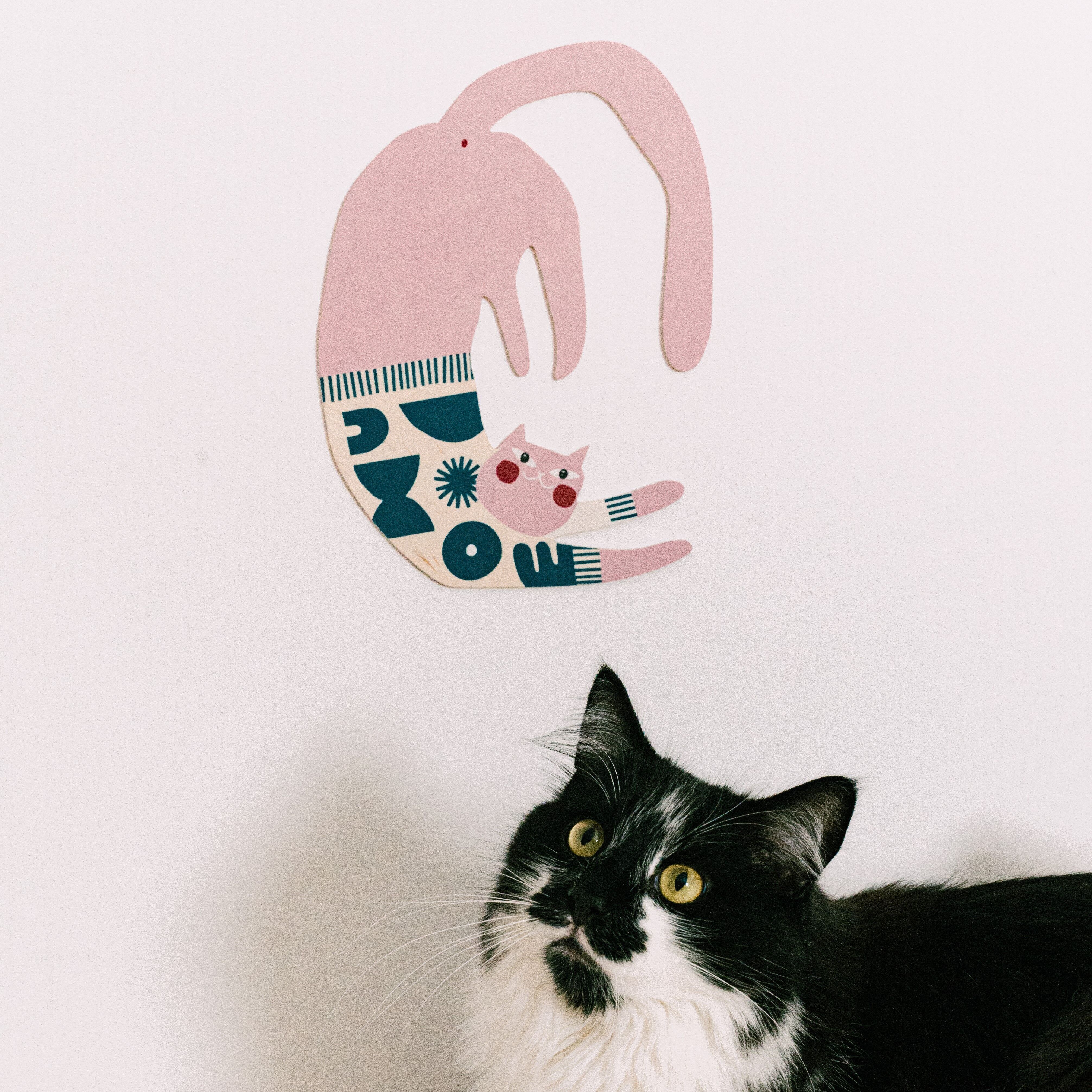 Ramen le chat – décoration murale, design d'intérieur