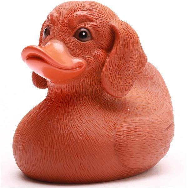 Dachshund Squeaky Duck - Rubber Duck