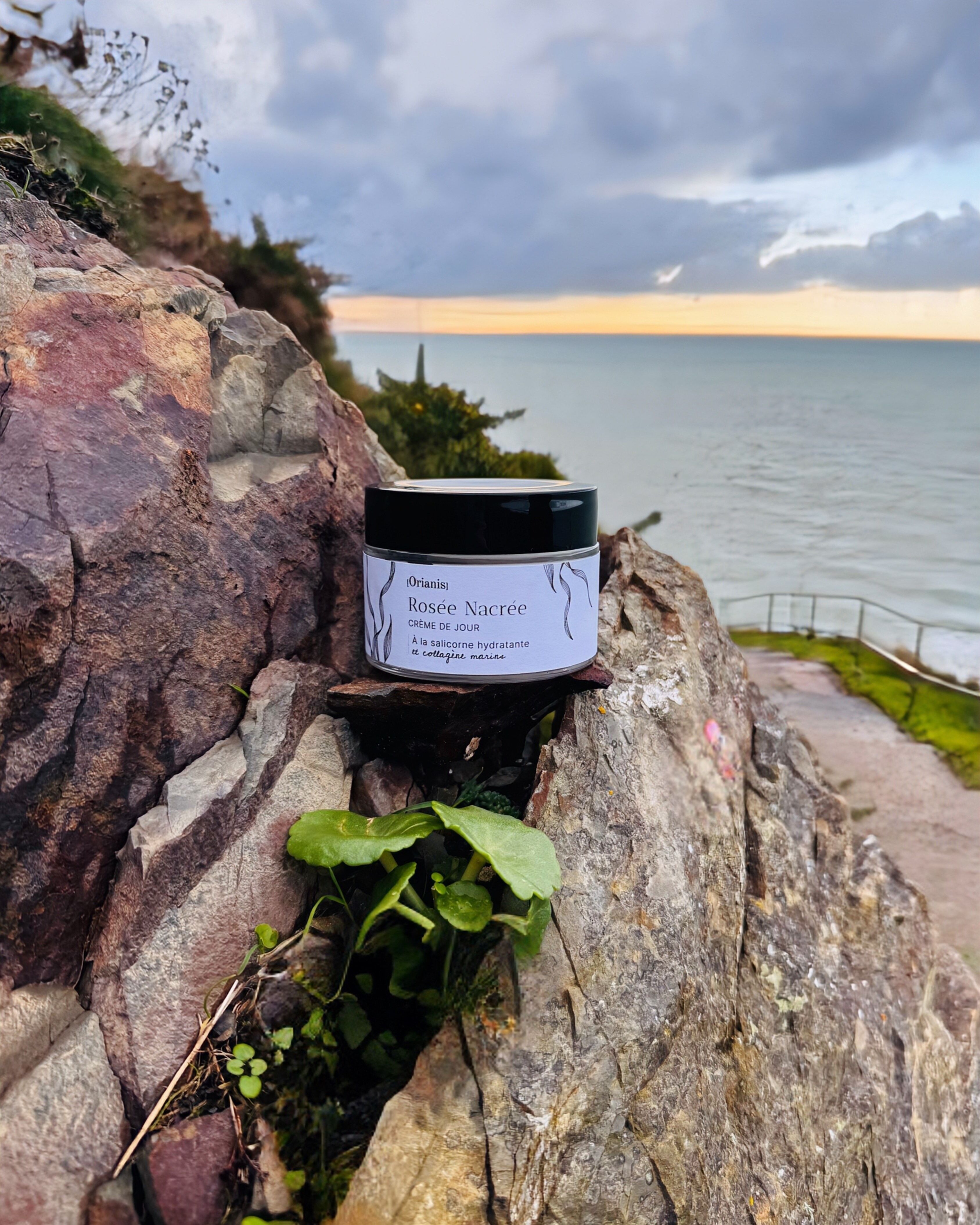 Pearly Dew Day Cream