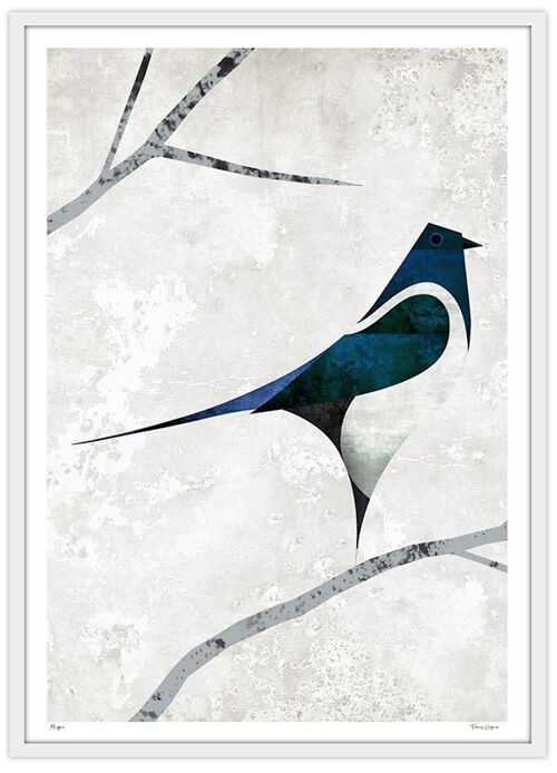 Poster Magpie - 50x70cm