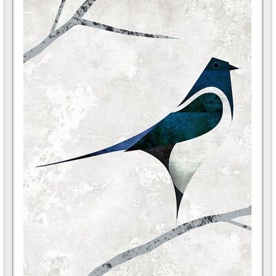 Poster Magpie - 50x70cm