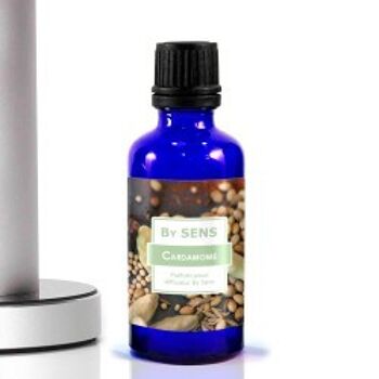 Parfum "Cardamone" pour diffuseurs 1