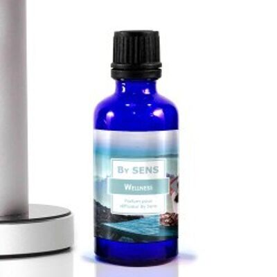 "Wellness" fragrance for diffusers