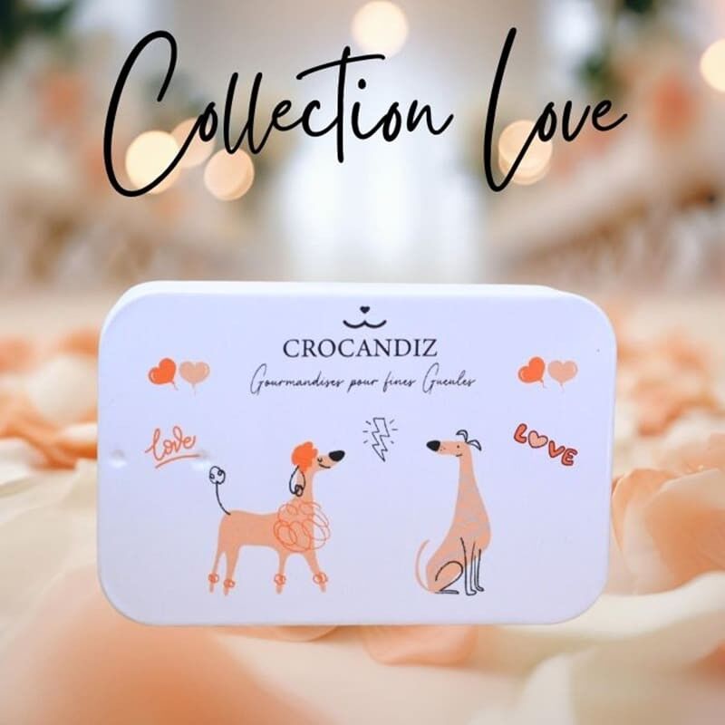 Love Dog Treat Box