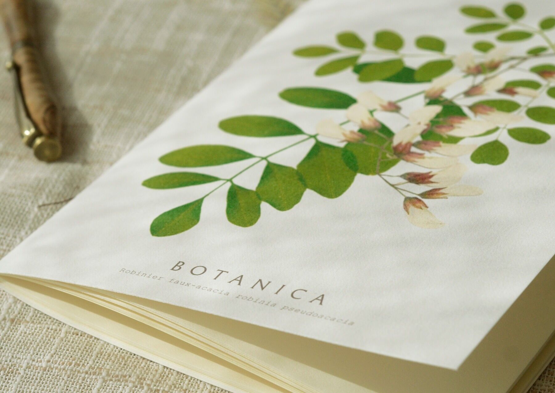 A5 notebook with "Black Locust" flower • Botanica collection - handcrafted stationery
