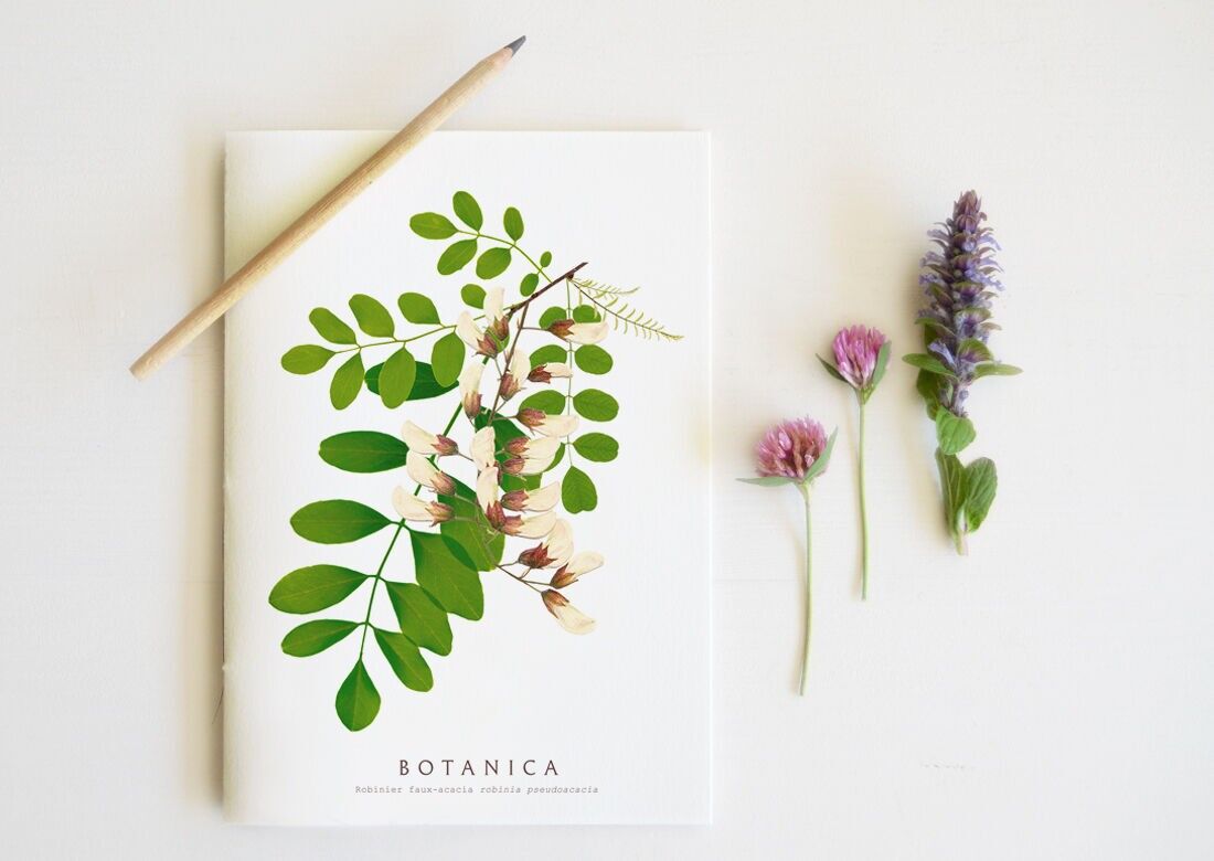 Carnet A5 fleur "Robinier faux-acacia" • collection Botanica - papeterie artisanale