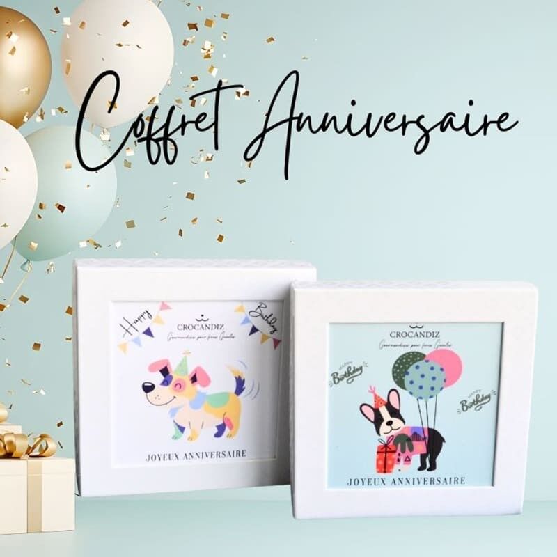 Biscotti per cani - Compleanno del cane
