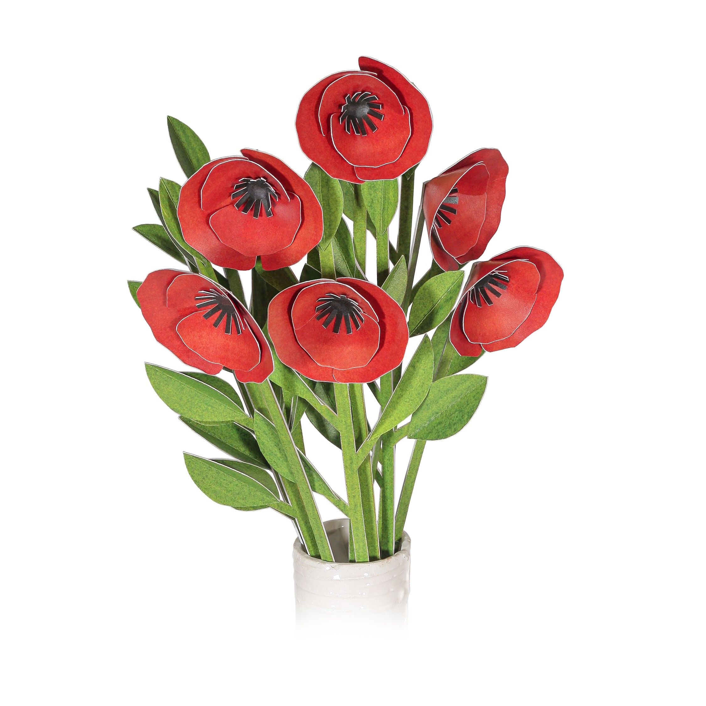 Kit de manualidades para minijardín de amapolas