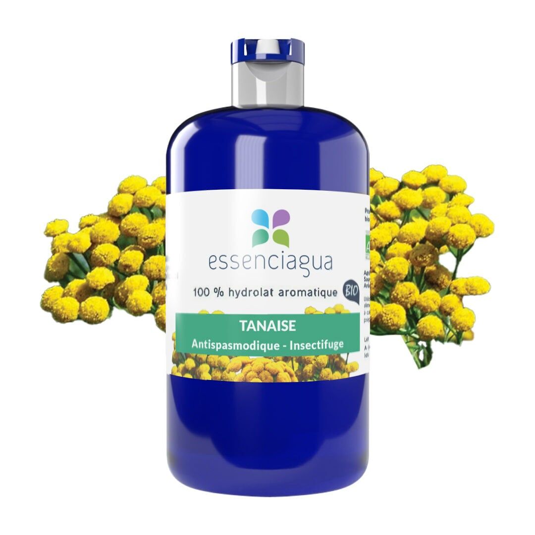 100% Organic and Artisanal Tansy Hydrosol