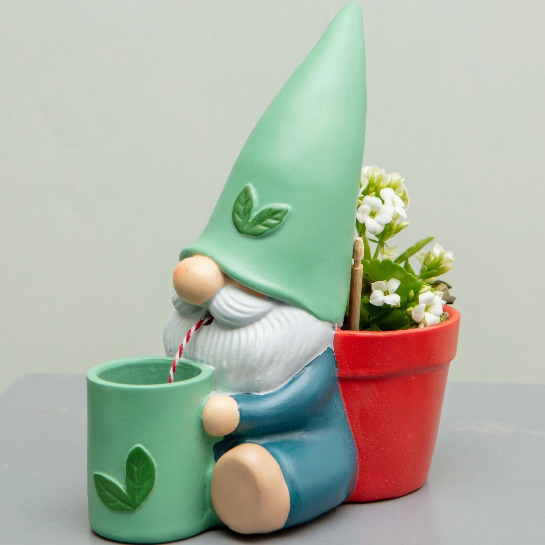 Hydrating Herbert Self Watering Plant Pot for Indoor Plants
