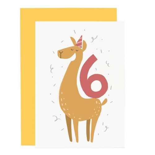Party Animal 6th Birthday Card