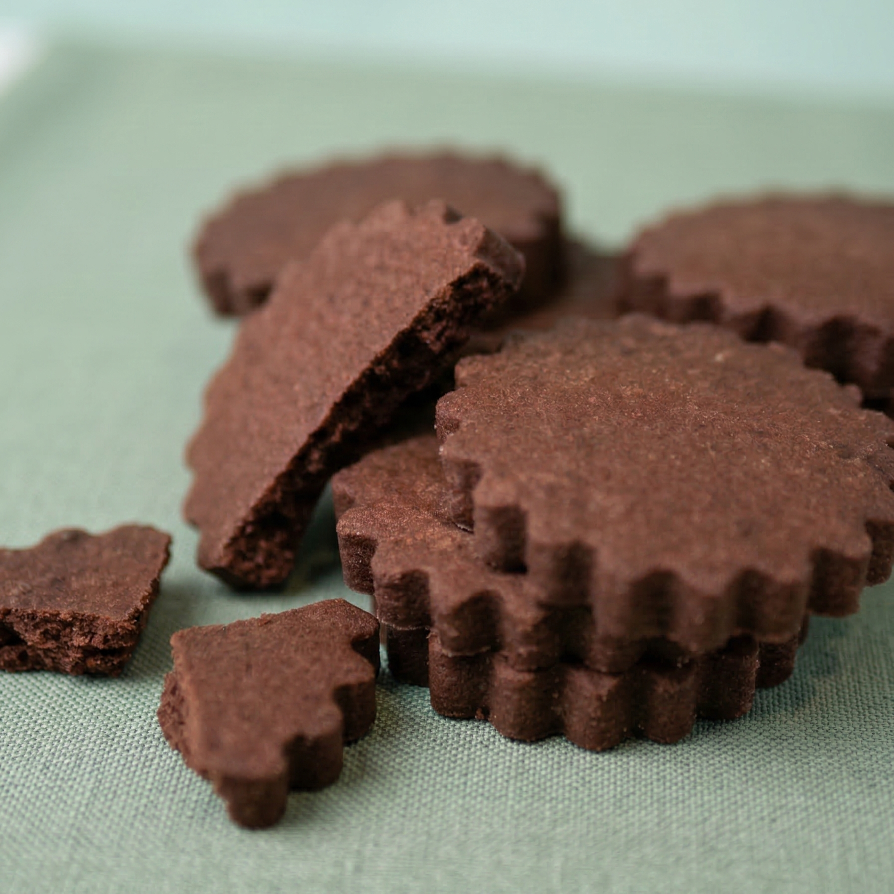 Cocoa Biscuits - 200g