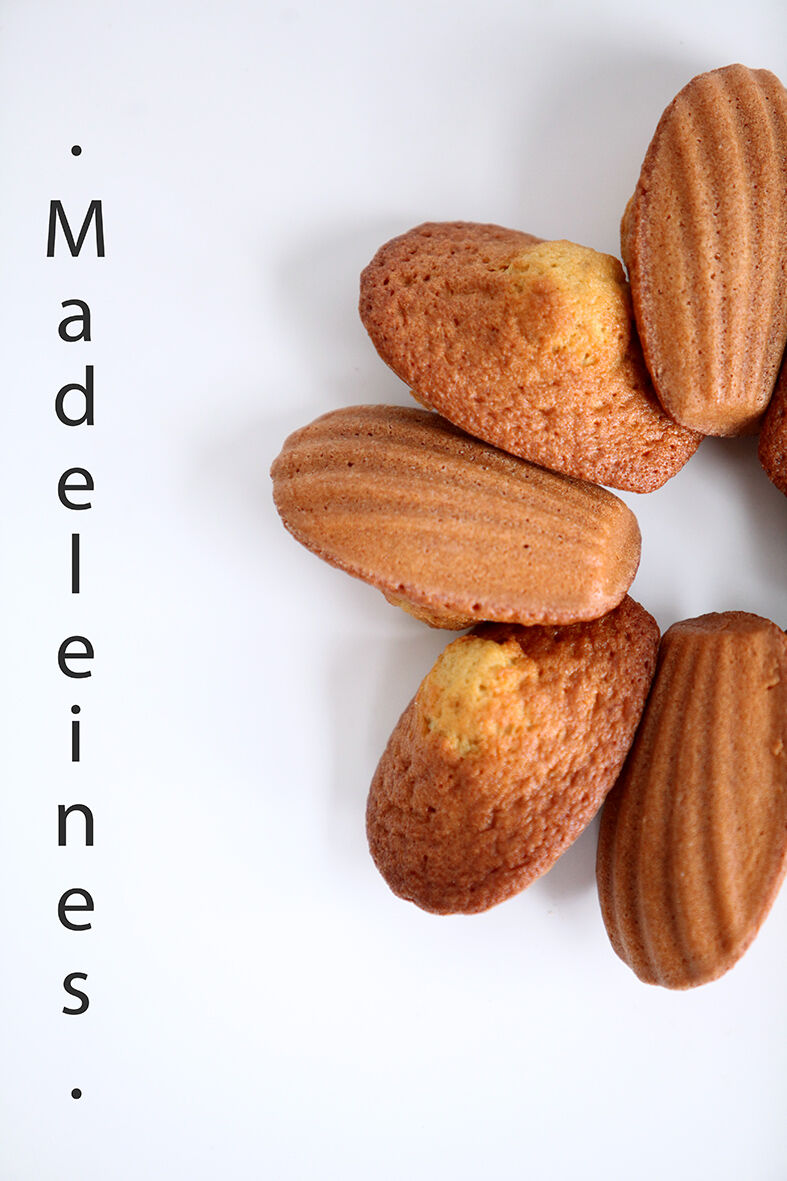 SUCCULENT MADELEINES