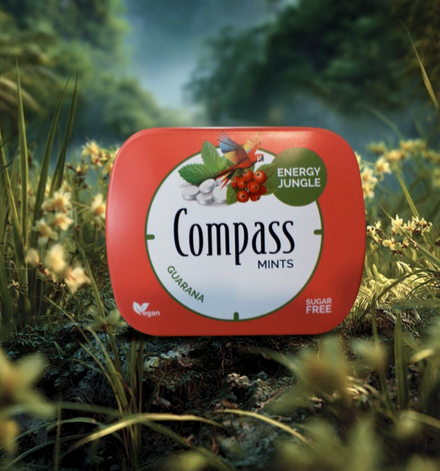 Pastilles rafraîchissantes pour l'haleine - Compass Mints - Guarana - 14 g - Sans sucre