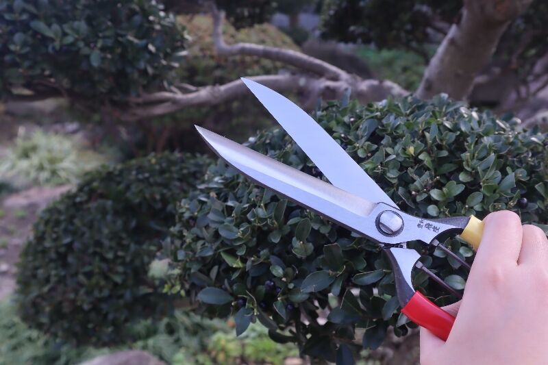 Japanische Einhand-Heckenschere „Doppelklinge, gerade Klinge“ 270 mm – Hergestellt in Japan