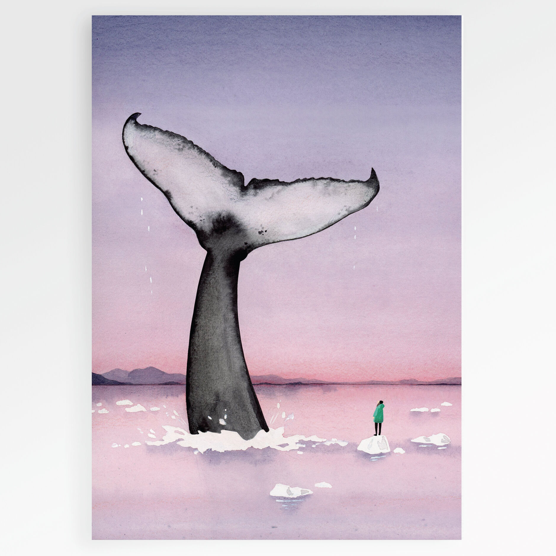 FSC paper card for diving