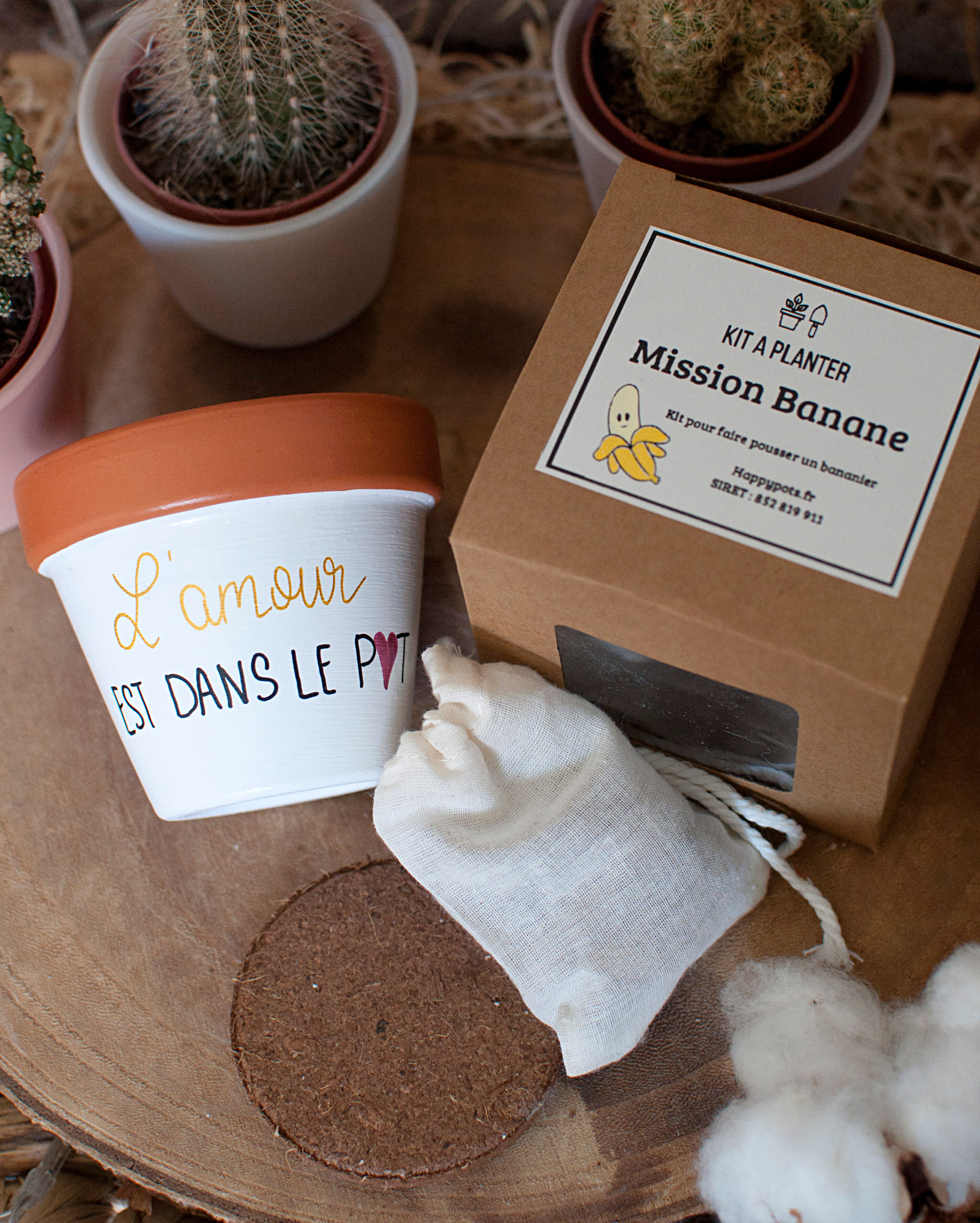 Planting kit: Love is in the pot + 8cm diameter terracotta pot
