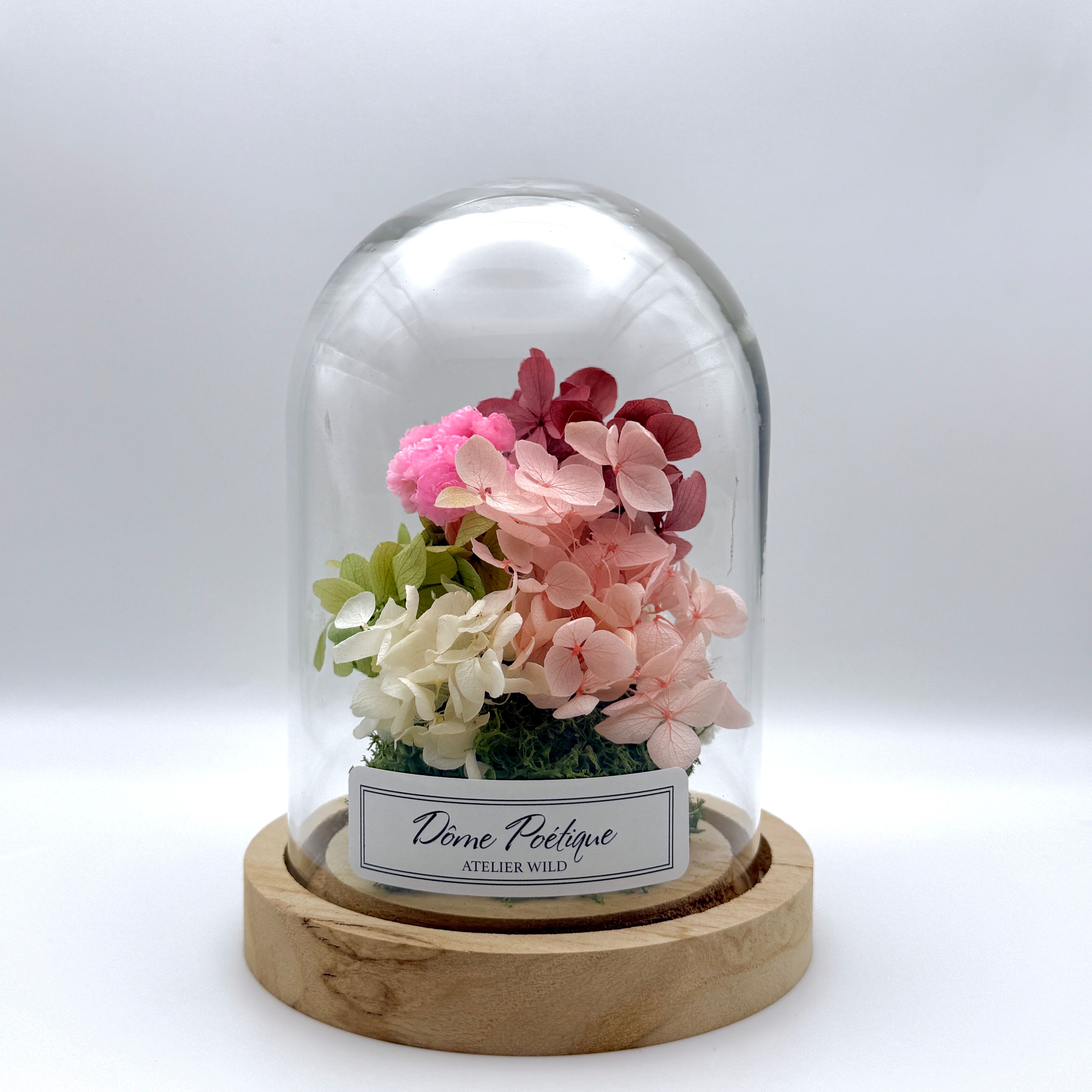 Dôme Poétique "Farandole de Pétales" - Cloche de Fleurs Séchées - Moyen