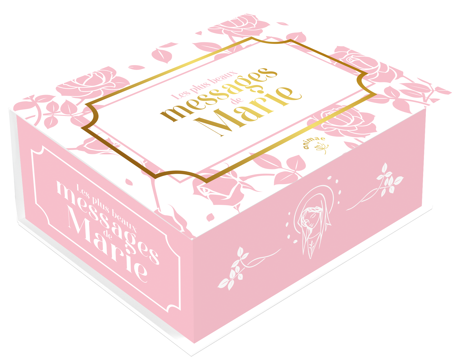 Box set: Mary's most beautiful messages