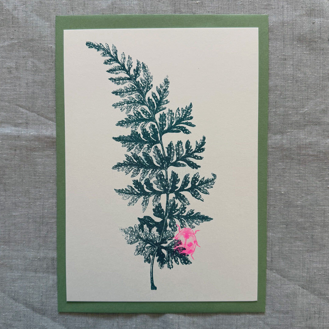 Maxi card / A5 / Fern with ladybug / Gmund Paper