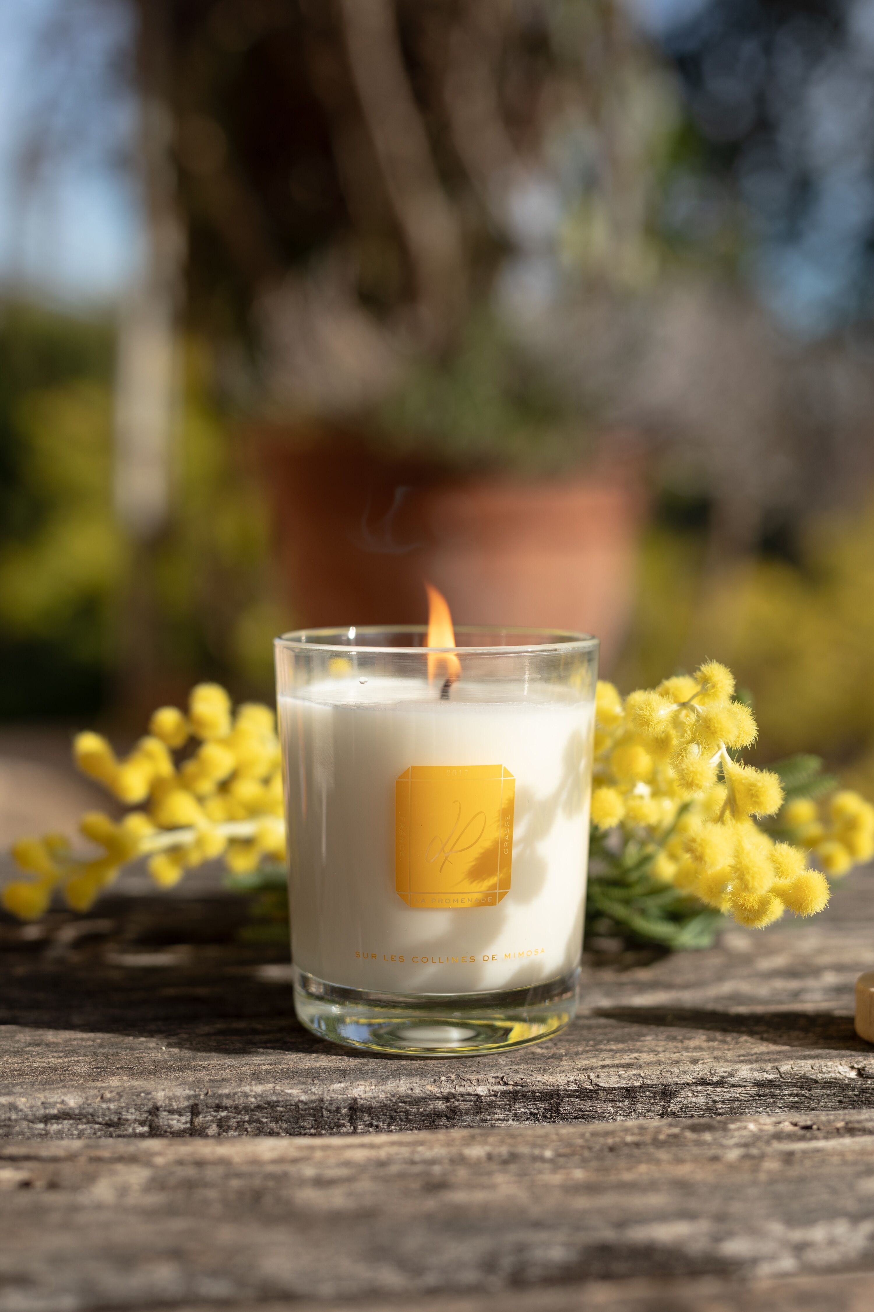 Scented candle - On the Mimosa Hills (100% vegetable wax) - 180g
