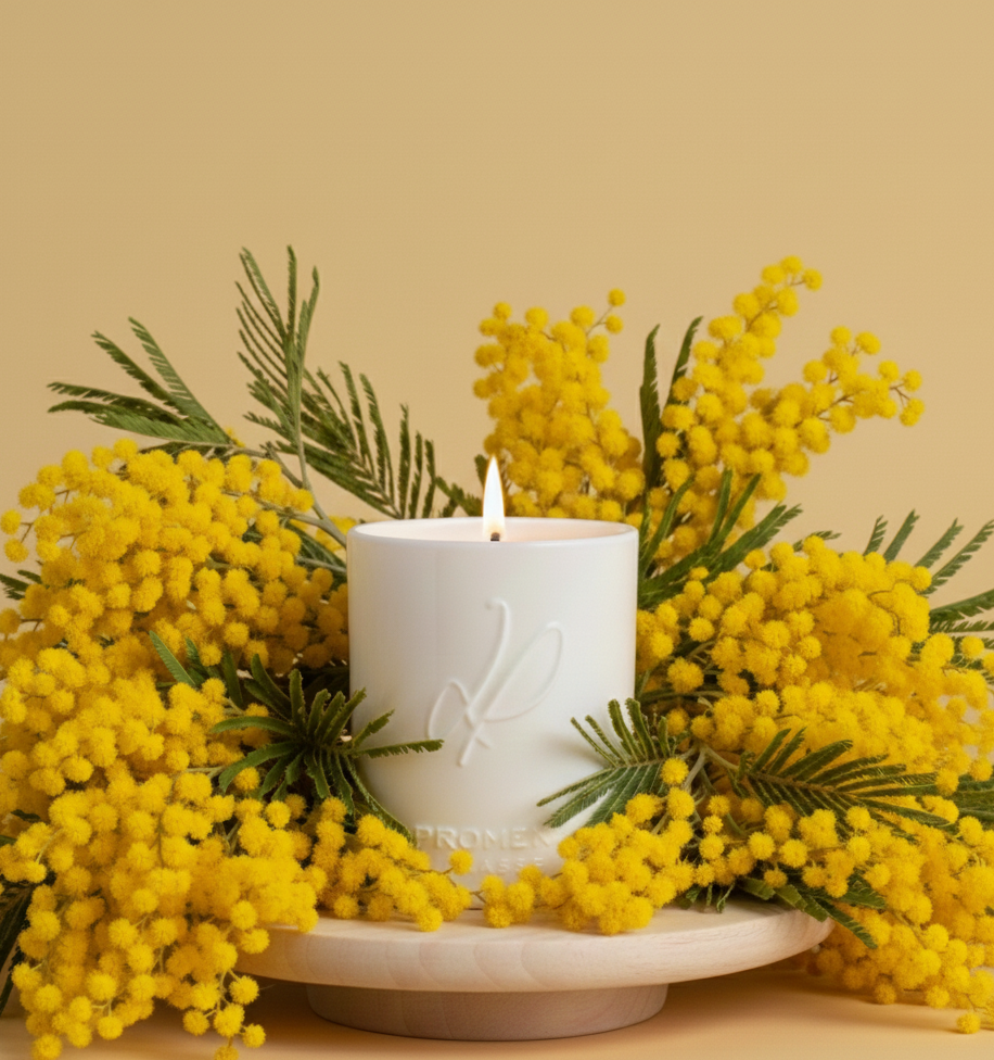 Bougie parfumée céramique - Sur les collines de mimosa (cire 100% végétale) - 320g