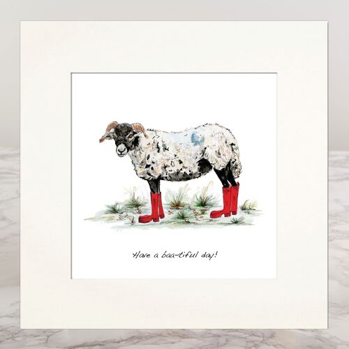 Mounted Print Sheep In Boots