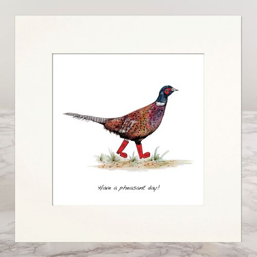 Mounted Print Pheasant In Boots
