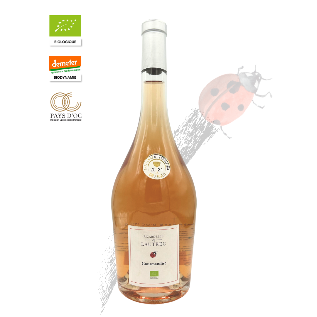 Pinot Noir Rosé 2020 – A Wine Outside the Box