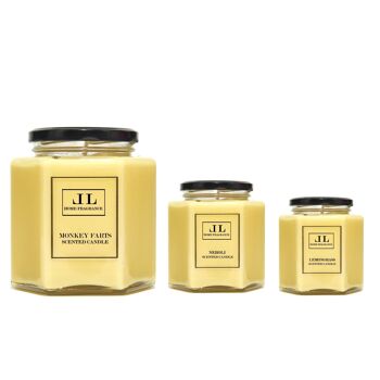 Bougies parfumées à l'huile essentielle d'eucalyptus citronné, bougie jaune à la cire de soja végétalienne naturelle, bougies anti-insectes 5