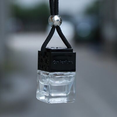 Assainisseur d'air de diffuseur de voiture de concepteur de parfum de belle vie, assainisseur de voiture, assainisseur d'air de voiture suspendue, parfum de voiture, diffuseur de voiture