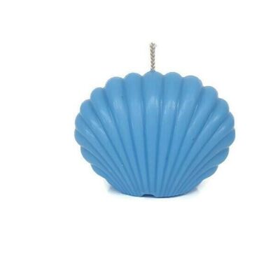 Une paire de bougies pilier mini coquille