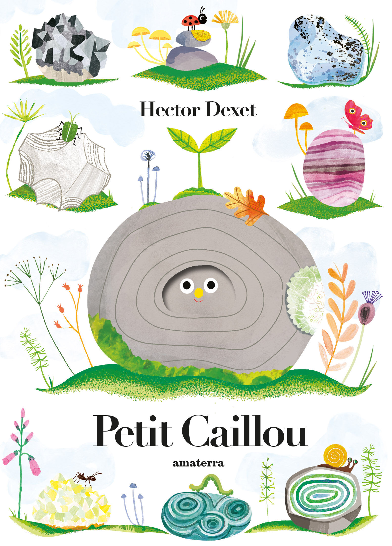 La pequeña piedrecita - Libro infantil