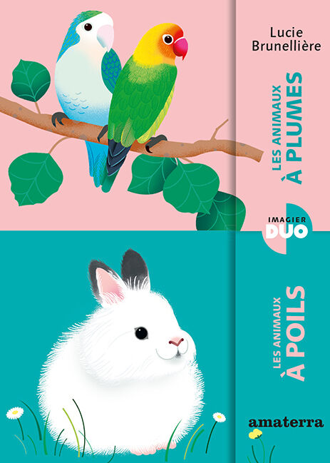 Animales con plumas / Animales con pelaje - libro infantil